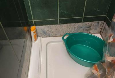 GARSONIERA BINE COMPARTIMENTATA - 9