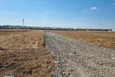 Teren de 10800 mp, în Frumușani - 2