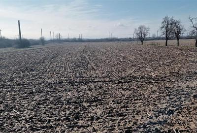 Casă individuală cu 3 camere cu Canalizare în Brădești - 16