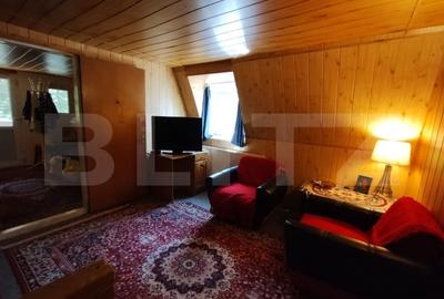 Cabana 4 camere Lunca Bradului - 8