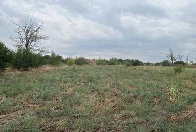 Mo?tenitor - Casa ?i teren intravilan la sosea de vanzare - 4