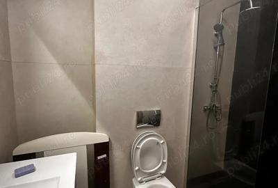 Apartament cu 3 camere în Brâncoveanu - 8