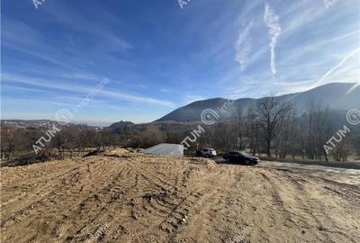 Teren intravilan de 1641 mp cu PUZ aprobat si utilitati in Cisnadioara - 13