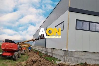 Hala industriala, 1300 mp construiti, 3000 mp teren, toate utilitatile - 2
