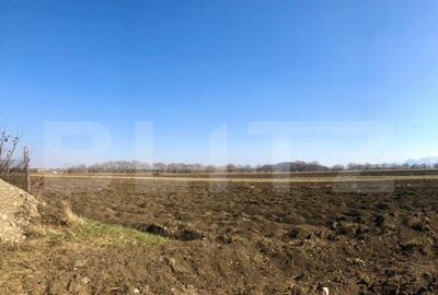 Teren de 10000 mp, în Central - 1