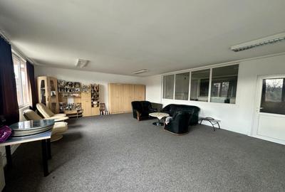 Teren 6000 mp (PUZ P+4) & Spa?ii Comerciale - Baia Mare - 3