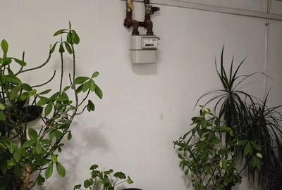 Apartament cu 2 camere decomandat, mobilat în Timpuri Noi - 2
