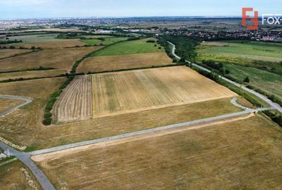 Teren Construcții intravilan de 1500 mp, în Moșnița Nouă - 4