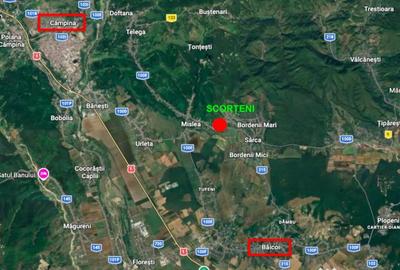 Casă cu 5 camere cu Teren 5950 Mp în Nord - 6