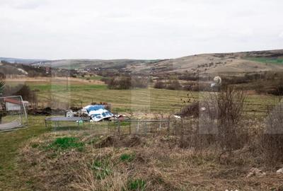 Teren în Borhanci - 4