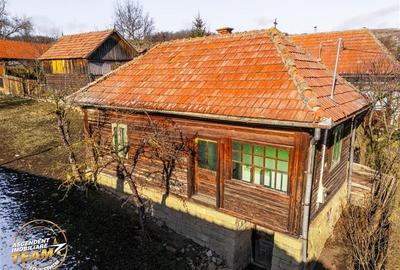 Film! Casa din lemn,cu doua camere, pe domeniu de 2.819 mp, Mereni, Covasna - 13