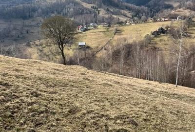 Vanzare Teren cu Punct de Belvedere in Moieciu zona Magura-Pestera - 13