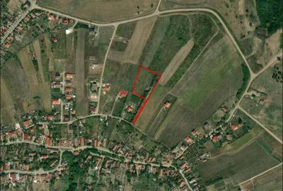 Teren intravilan - Saldabagiu de munte - 5000 mp. - IMOBIHOR - 2