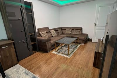 Apartament 2 camere decomadat, renovat, Palas - 3