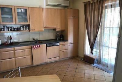 Proprietate inedita cu teren de 4400, si deschidere cu ponton pe Bega - 20