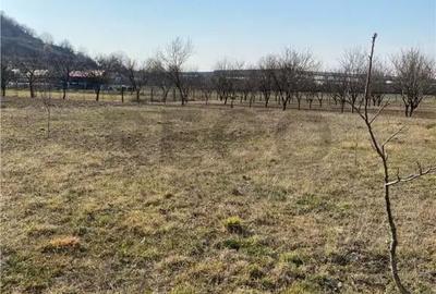 Teren de 800 mp, în Subpiatră - 4