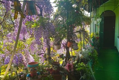 Apartament cu 4 camere în P-ța Maria - 9