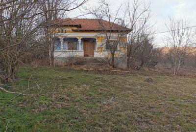 Teren de 6000 mp, în Priboieni - 5