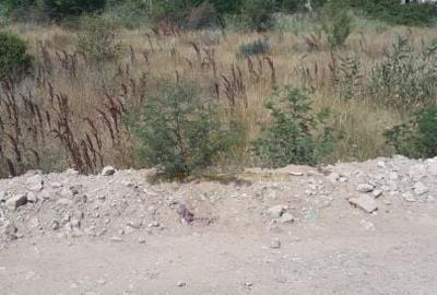 Spre Vanzare - Teren Intravilan - Vitanul Nou - Palady Spre Vanzare - Teren Intravilan - Vitanul Nou - Palady - 7