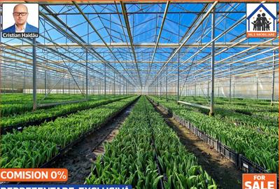 Sere: 10.640mp | Hala: 830mp | Teren 42.000mp | Lehliu-Gara - 7