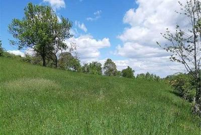 Teren de 2378 mp, în Bran - 2