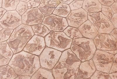 Casa tip Duplex “Mica de ea” pe Parter – Locuință Ideale pentru Familii Mici! - 16