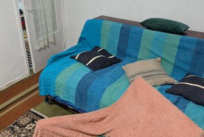 Primesc in gazda o persoana cu venit stabil - 11