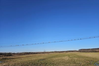 Teren extravilan - constructii, suprafata 49.933 mp, drumul E79, Beius - 8