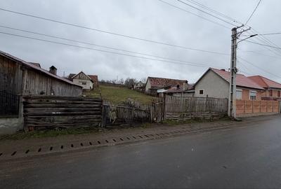 Spațiu comercial, în Păuca - 5