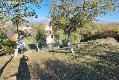 Teren Intravilan | Sat Gheorghieni, Cluj | 1440 mp | Investitie - 7