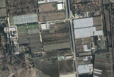 Teren de 400000 mp, în Almăj - 1