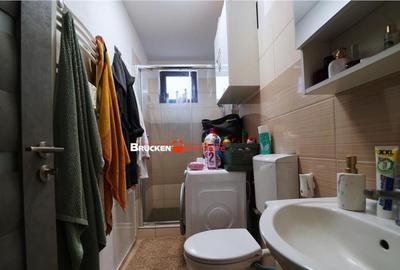 Sanmartin - Vila cu 3 apartamente si potential de - 6