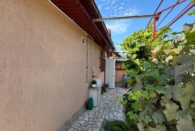 Vand casa de caramida Roman Vand casa de caramida Roman - 6