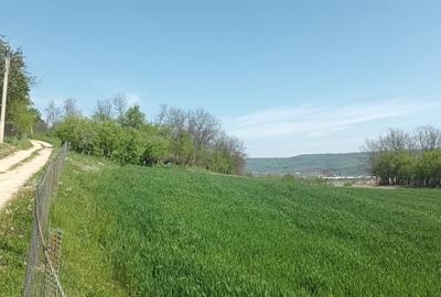 Teren în Micești - 6