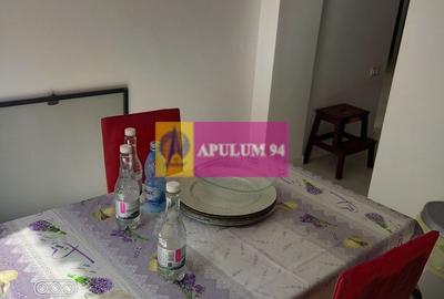 Vila P+1+pod- Fundeni- Dobroesti - 3