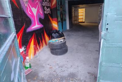 Spațiu comercial, de 50 mp, în Nicolina