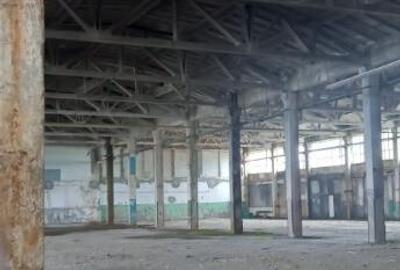 Activ de vanzare la 10 Km de Municipiul Braila ,3 Km de Dunare - 5