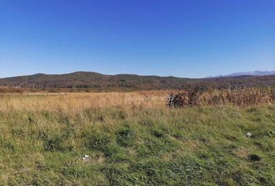 Teren intravilan 3000 mp constructii industriale Teren intravilan 3000 mp constructii industriale - 5