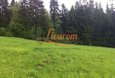 Teren Construcții intravilan de 980 mp, în Timișu de Sus - 1