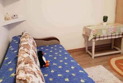 Garsonieră în Dacia - 8