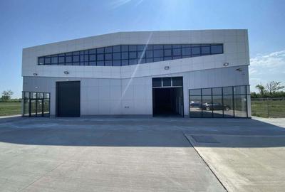 Hala complet echipata, nou construita langa aeroportul interna?ional Traian Vuia - 3