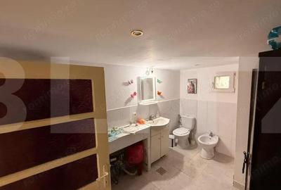 Casa Soroceni 2300mp - 13