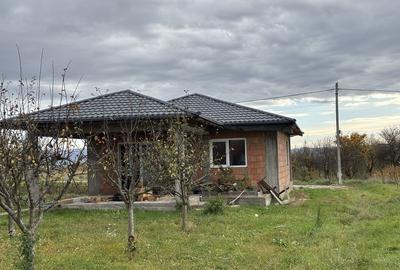 Casă cu 3 camere în Mocira - 8