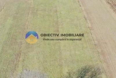 TEREN intravilan  4488 mp - PANGĂRAȚI - 1