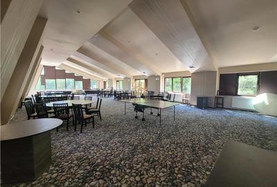 Pensiune de lux in Bucovina! - 19