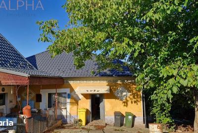 Casă cu 3 camere cu Teren 2400 Mp în Șintereag - 15