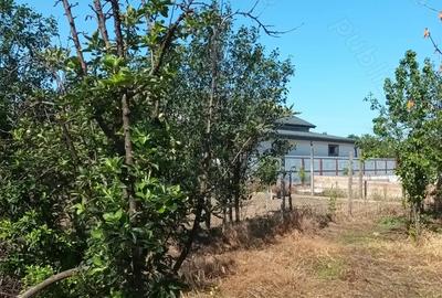 Casă cu 4 camere cu Teren 1040 Mp în Mărăcineni - 3