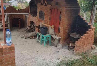 Teren de 6200 mp, în Mogoșești - 11