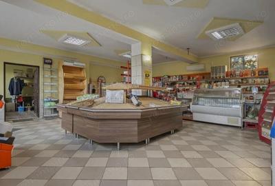 COMISION 0% | 2 Case cu Spatiu Comercial | Teren 1019mp | 540 eur/mp - 38