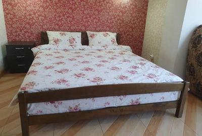 De inchiriat apartament cu o camera in zona Lipovei - 3
